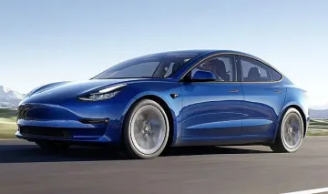 Ето ги най-търсените елколи в света