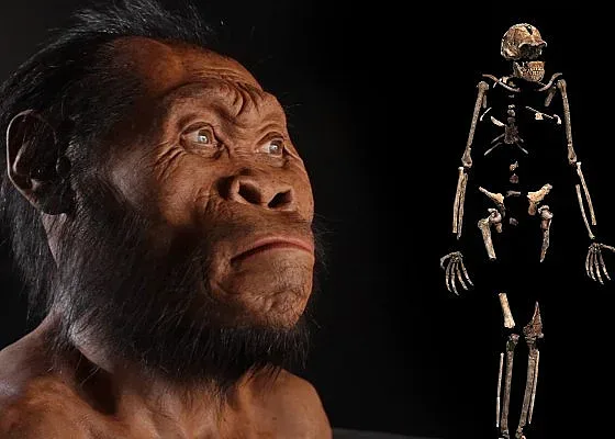 Мистерията. Как хората са се озовали на Земята