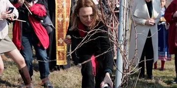 Каква е магията за хубавото вино