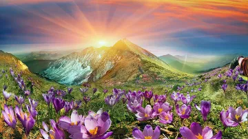 Обрат във времето. Пролет през уикенда