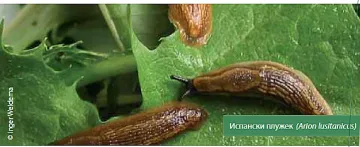 Екоминистерството ще се бори с опасни животни пришълци