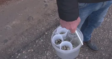 Цирк! Как кмет реши да си плати винетката