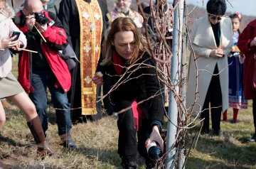 НЛВК: Помощ до 350 лева за лозарите, за да не изкореняват лозя