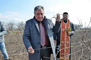 Ректорът на Тракийски университет „заряза“ университетските лозя