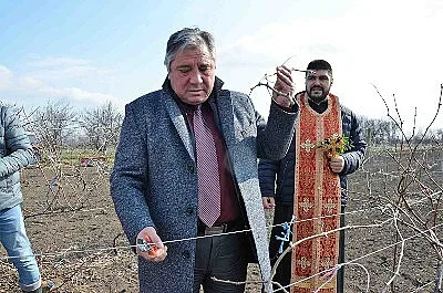 Ректорът на Тракийски университет „заряза“ университетските лозя