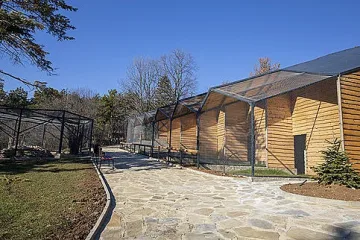 Маймунче се роди в Старозагорския зоопарк