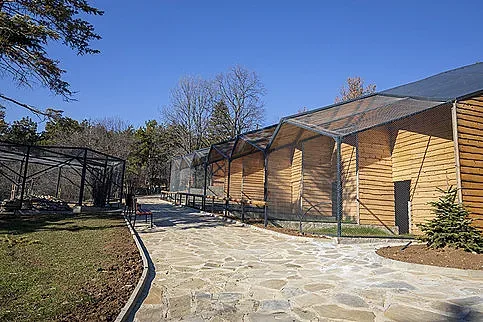 Маймунче се роди в Старозагорския зоопарк