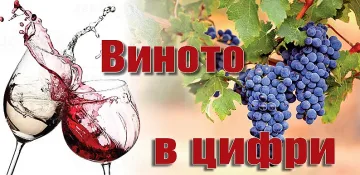 20 любопитни неща, които не знаем за виното