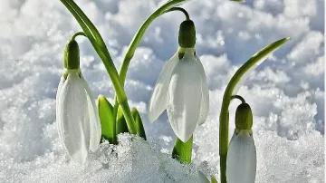 Времето ни изненада. Сняг вместо пролетните 11 градуса