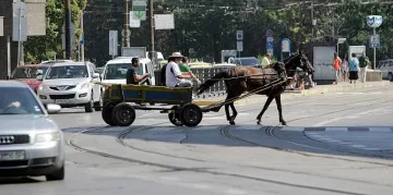 София забрани каруците, какво ще правят с "арестуваните" коне