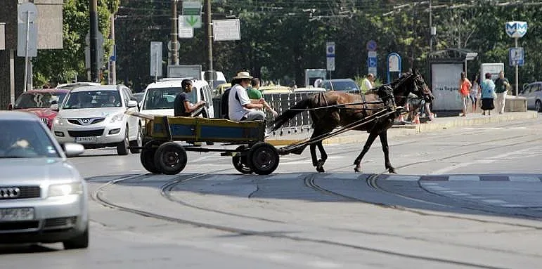 София забрани каруците, какво ще правят с "арестуваните" коне