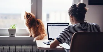 Изумително! Каква заплата взимат ИТ специалистите