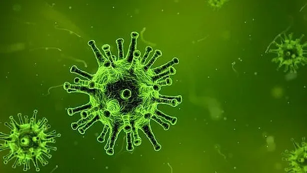 Изчезва ли коронавирусът? Истината от експертите