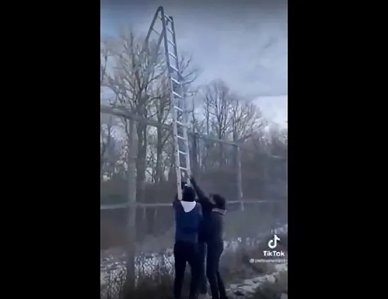 Трафикант си прави реклама как прекарва бежанци през оградата ни