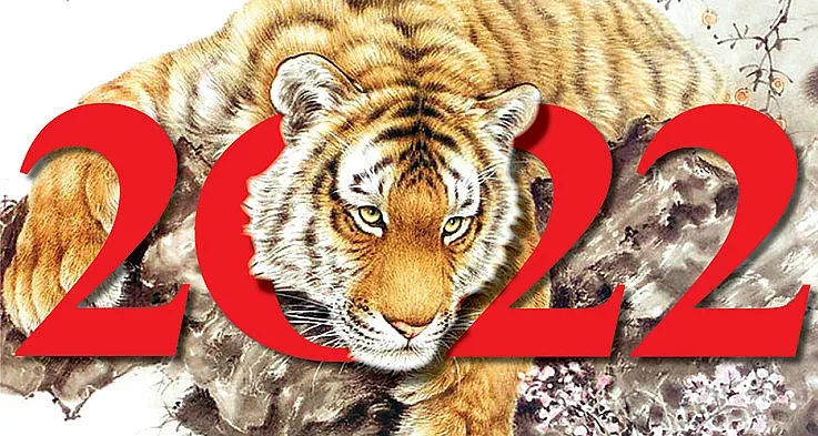 Годината на Тигъра. Кои камъни носят късмет