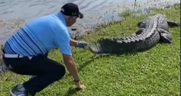 Уникално! Какво направи Стоичков с крокодил