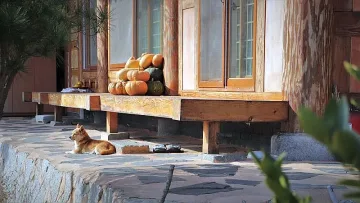 Топъл четвъртък, преди период на сериозен студ и мраз