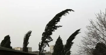 Халата се развихри. Летят дървета и спира ток