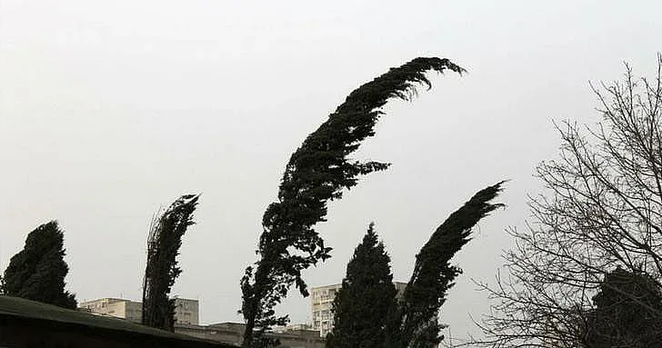 Халата се развихри. Летят дървета и спира ток