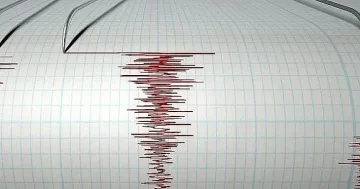Трусове отвсякъде - удари ни трети за днес