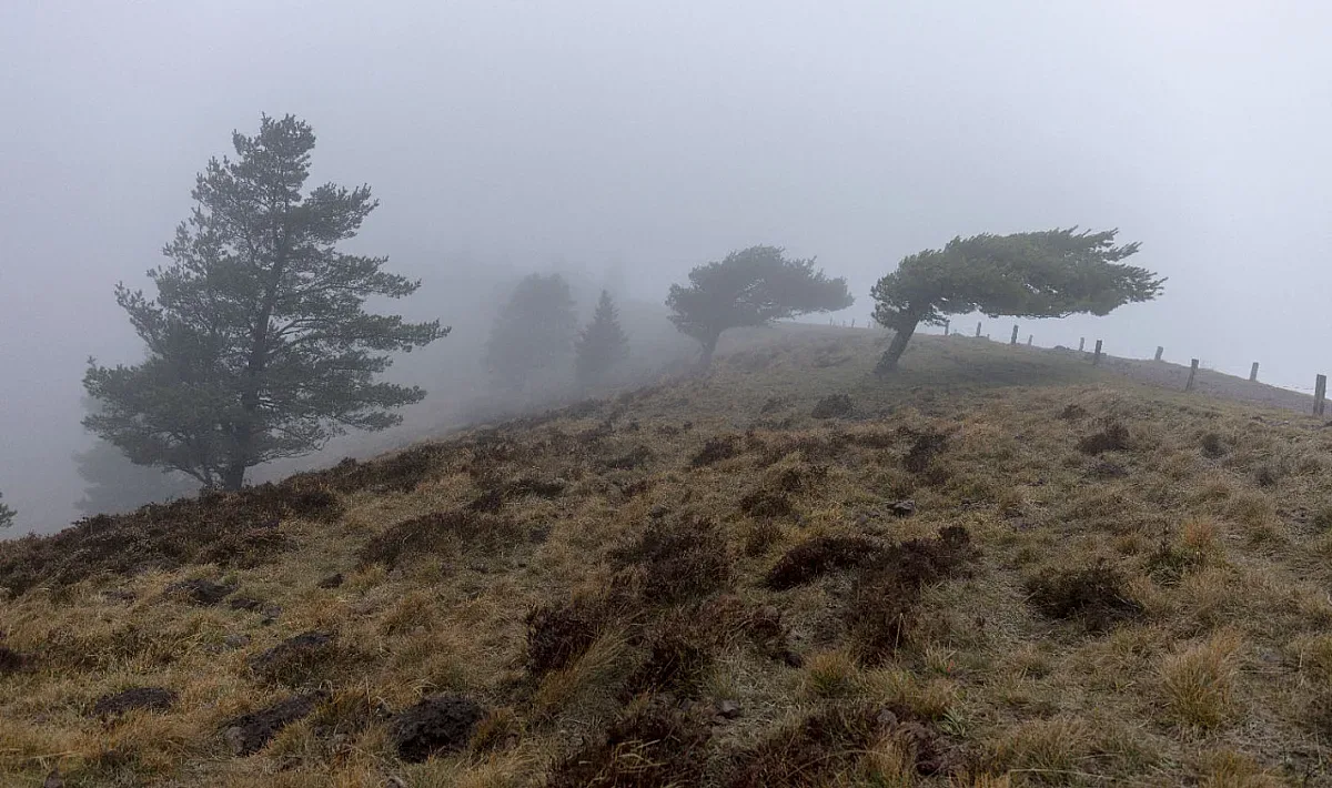 Нова изненада от времето. Студ и още нещо
