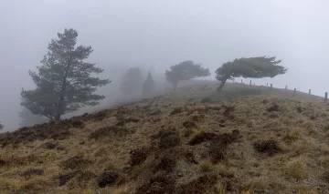 Нова изненада от времето. Студ и още нещо