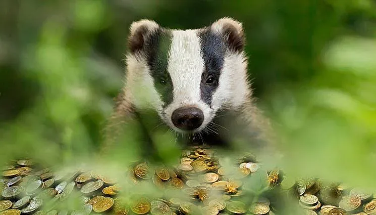 Язовец изрови съкровище от римски монети