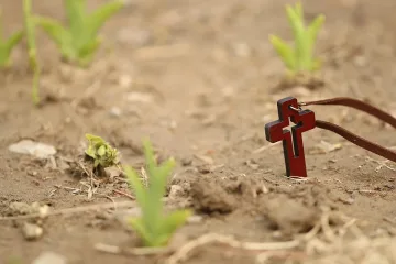Видовден е! Спазват се дълго почитани традиции и обичаи