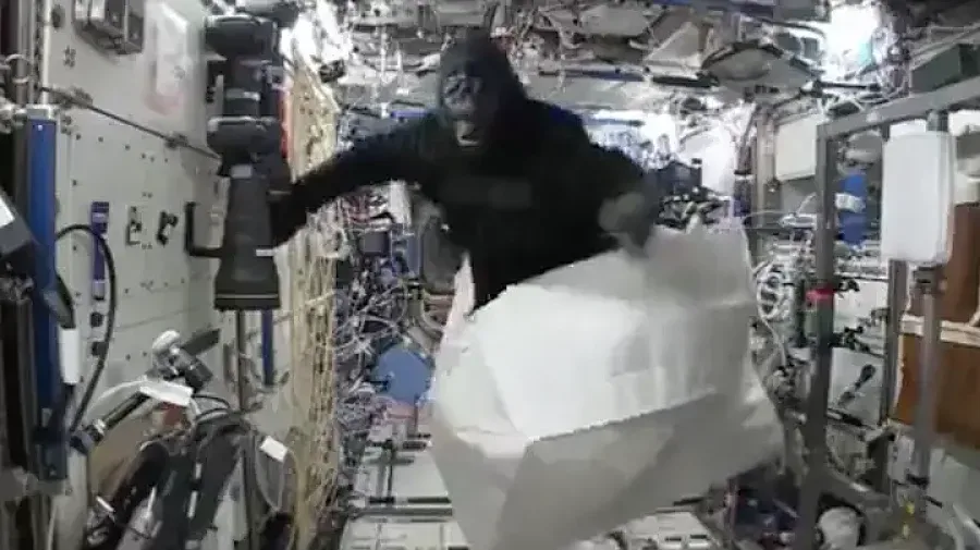 Астронавт се е появил на МКС с костюм на горила (видео)