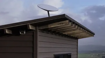 Интернет чиниите на Илон Мъск привличат котките