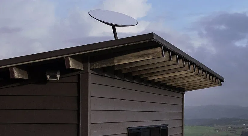 Интернет чиниите на Илон Мъск привличат котките