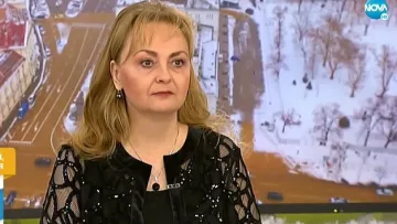 Зелена тапия? Решителен отговор на бизнеса