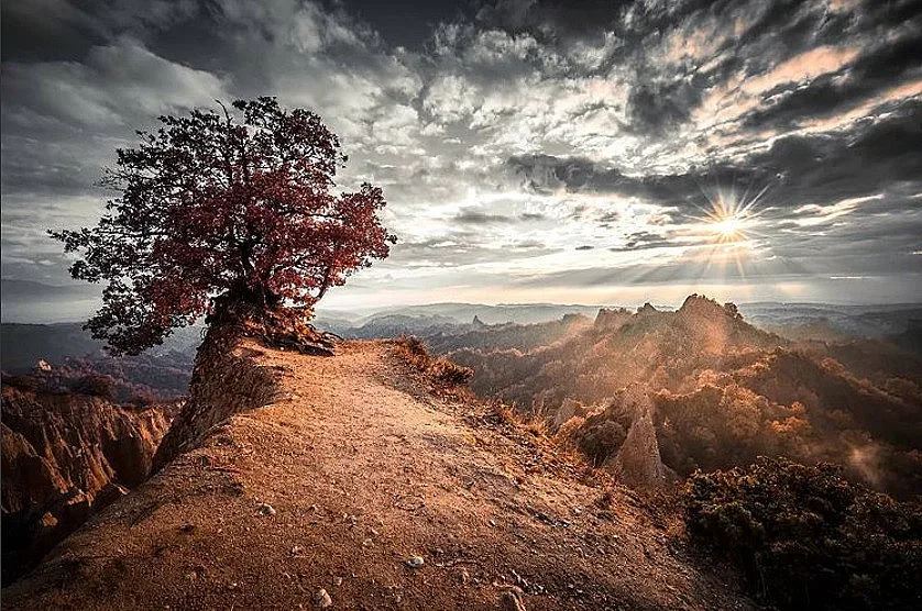 Аномалия с времето - до кога ще продължи януарската пролет