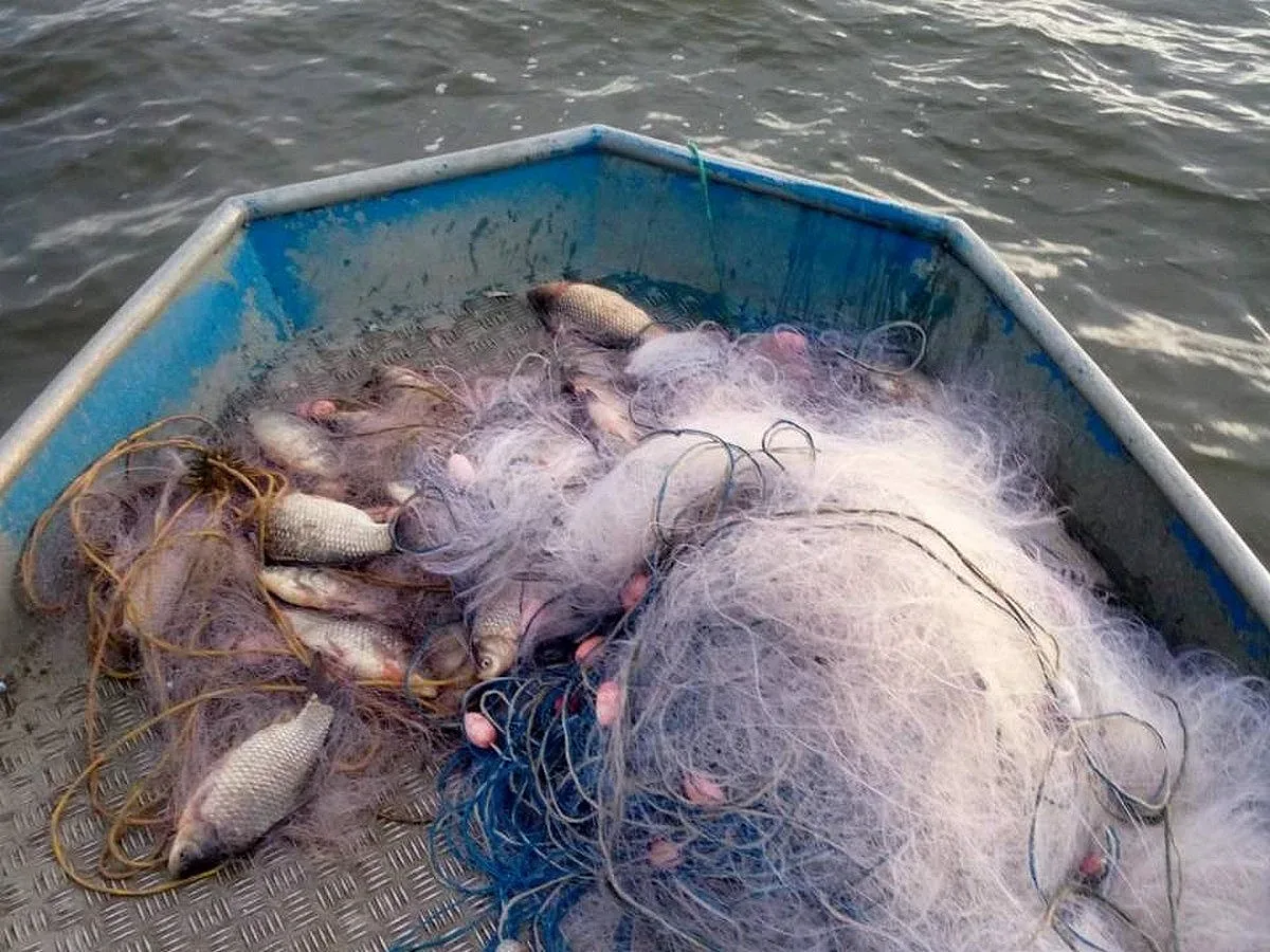 Хванаха километри браконерски мрежи, с какво бяха пълни