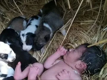 Кучка с палета спаси изоставено бебе