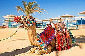 Българите избраха Турция и Египет за празниците