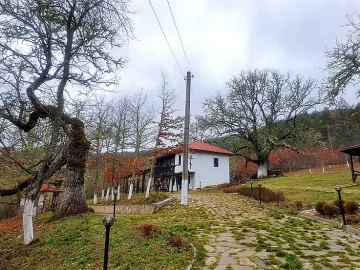 Манастир се гуши между вековни дъбици