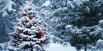 Шокиращи температури на Бъдни вечер!