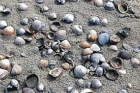 Какво да носим в джоба против уроки и за късмет