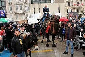 Турски антиваксъри протестират с камили, кълнат Бил Гейтс