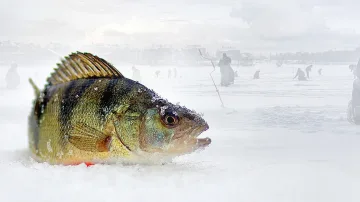 Обрат във времето на Никулден. Кога идва снегът