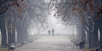 Мъгли до обяд, а после...