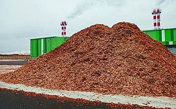 Биомасата–вредна или потребна суровина за производство на енергия?