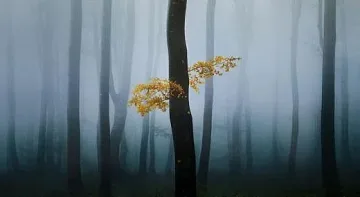 Борят се за живота на мъж, открили го вързан гол на Бузлуджа