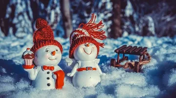 Синоптик обещава голяма радост за Коледа и Нова година