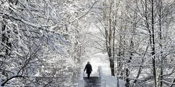 Каква зима очаква Европа