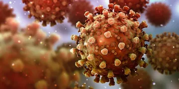 1 категоричен симптом за Омикрон. Типичен е за младите