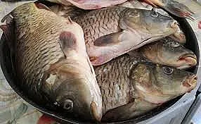 Колко струва никулденският шаран