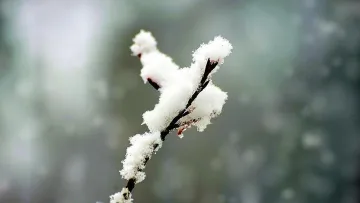 Снегът е близо. Ето кога ще вали