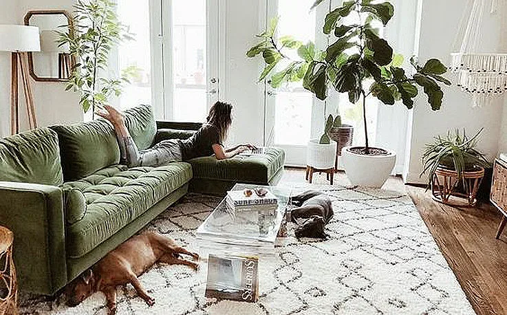 Растенията у дома - за чист въздух и фън шуй енергия